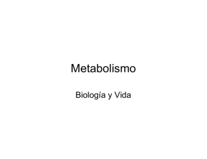 metabolismo general