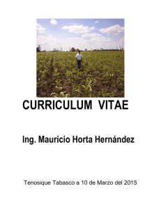 CURRICULUM  VITAE  Ing. Mauricio Horta Hernández