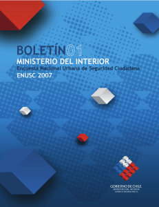 Boletín ENUSC 2007