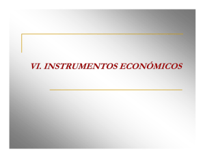 VI. INSTRUMENTOS ECON+ôMICOS_agos08.pdf