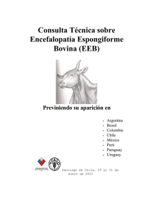 Consulta técnica FAO sobre encefalopatía espongiforme bovina (EEB)