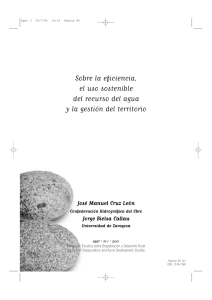 «Sobre la eficiencia, el uso sostenible del recurso del agua y la gestión del territorio»