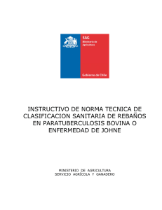 Instructivo de norma técnica de clasificación sanitaria de rebaños en paratuberculosis bovina o enfermedad de Johne