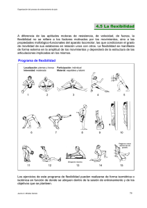 La flexibilidad en el judo