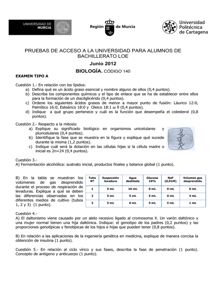 PRUEBAS DE ACCESO A LA UNIVERSIDAD PARA ALUMNOS DE BACHILLERATO LOE ...