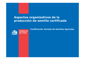 Aspectos organizativos de la producción de semilla certificada