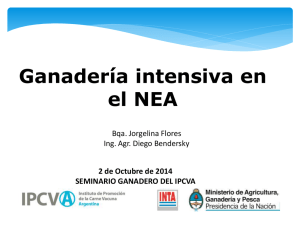 Ganadería intensiva en el NEA 2 de Octubre de 2014
