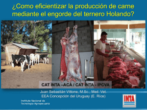 ¿Como eficientizar la producción de carne CAT INTA
