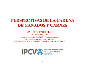 Descargar Perspectivas de la cadena de ganados y carnes M.V. Jorge Torelli (Consejero del IPCVA)