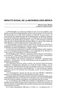braco147_2004_3.pdf