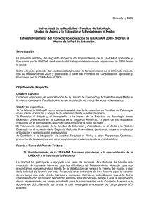 Informe preliminar proy. consolidación 2008.pdf