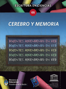 Cerebro y memoria