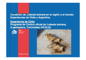PCOLB en Chile