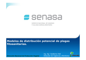 Modelización y distribución Lobesia botrana en Argentina