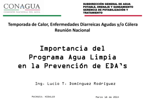  Importancia del Programa de Agua Limpia en Prevención de Enfermedades Diarreicas