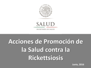 Acciones de promoción de la salud contra la Rickettsiosis en México. DGPS