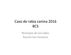 Caso de rabia canina 2016(Baja California Sur)