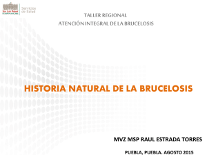 Historia natural de la Brucelosis