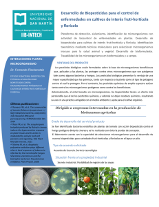 Desarrollo de Biopesticidas para el control de enfermedades en cultivos de interés fruti-hortícola y florícola