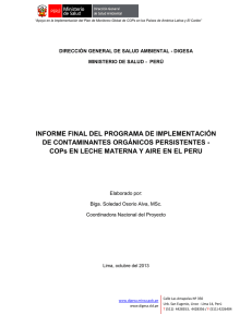 Informe nacional de Perú