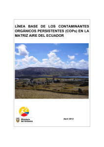 Ecuador informe nacional