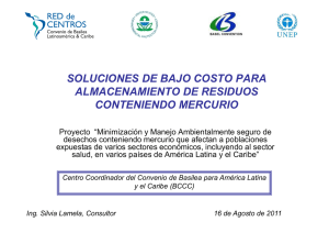 Presentación Soluciones de bajo costo . Silvia Lamela