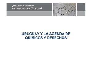 Fernando Lugris Uruguay y la agenda de químicos y desechos