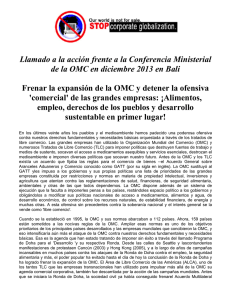 OWINFS Llamado a la Accion OMC - 2013 SPANISH Oct 1.pdf