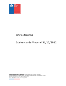 informe ejecutivo existencia de vinos 2012