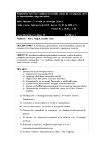 curso_neuropsicoanalisis-_l._vales.pdf
