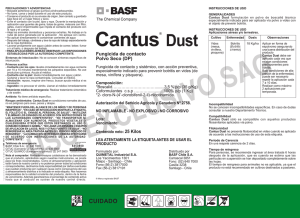 Cantus Dust