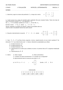 Matrices y Determinantes (Parcial 1 Evaluaci n 22-10-13)
