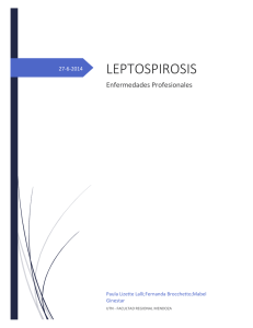 LEPTOSPIROSIS - Enfermedades Profesionales Paula Lizette Lalli; Fernanda Brocchetto; Mabel Ginestar