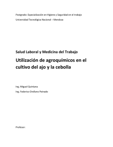 UTILIZACION DE AGROQUIMICOS EN EL CULTIVO DEL AJO Y LA CEBOLLA