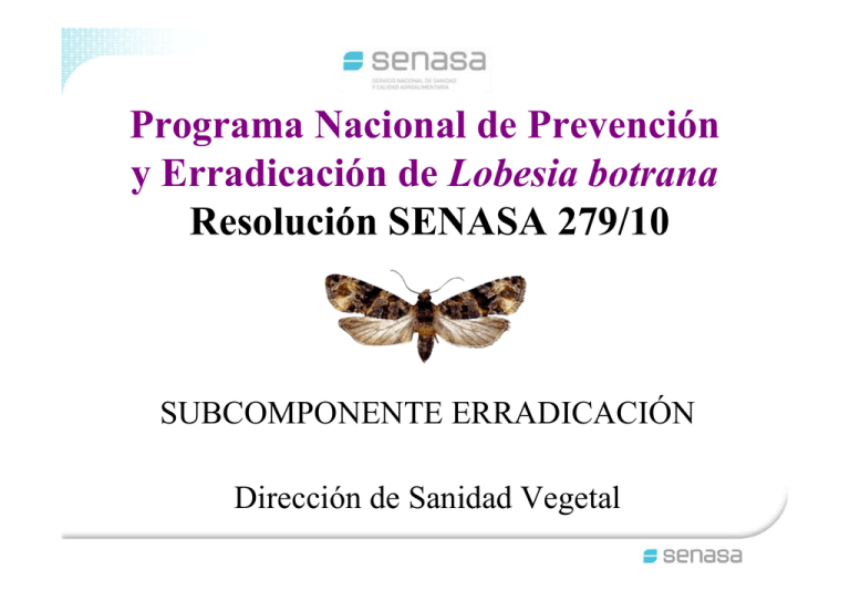 Fiscalización Y Control Argentina