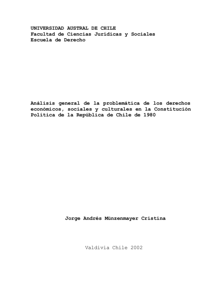 An Lisis General De La Problem Tica De Los Derechos Econ Micos ...