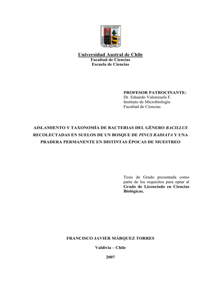 Aislamiento Y Taxonom A De Bacterias Del G Nero Bacillus Recolectadas 