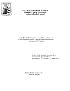 Estudio de la distribuci n y sobrevivencia de larvas infectantes de trichostrongilidos del bovino en el pasto de un potrero durante oto o e invierno de 1995 en Valdivia