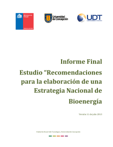 Recomendaciones para la elaboración de una estrategia nacional de bioenergía