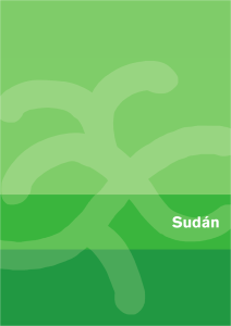 PAE Sudán 2006-2008