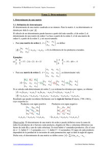 Tema 2. Determinantes