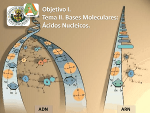 Bases Molec Acidos Nucleicos