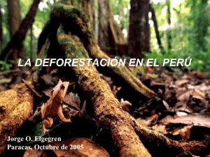 LA DEFORESTACIÓN EN EL PERÚ Jorge O. Elgegren Paracas, Octubre de 2005