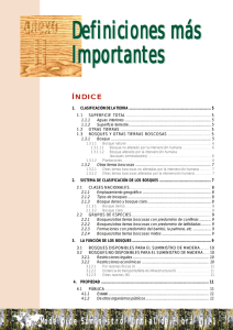 Definiciones m&aacute;s Importantes
