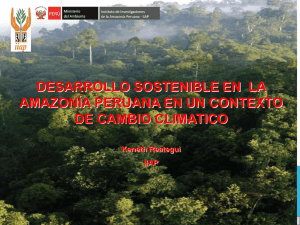 DESARROLLO SOSTENIBLE EN  LA AMAZONÍA PERUANA EN UN CONTEXTO