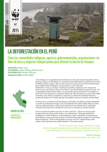 LA DEFORESTACIÓN EN EL PERÚ 2015