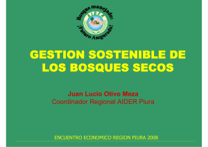 GESTION SOSTENIBLE DE LOS BOSQUES SECOS Juan Lucio Otivo Meza