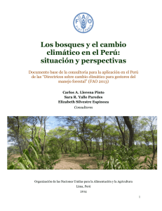 Los bosques y el cambio climático en el Perú: situación y perspectivas