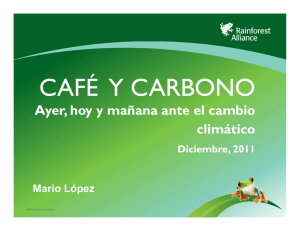 CAFÉ  Y CARBONO Ayer, hoy y mañana ante el cambio climático