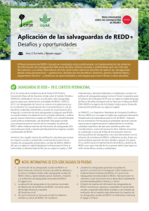 Aplicación de las salvaguardas de REDD+ Desafíos y oportunidades